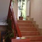 Katran